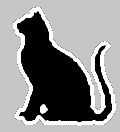 cat.gif (663 bytes)